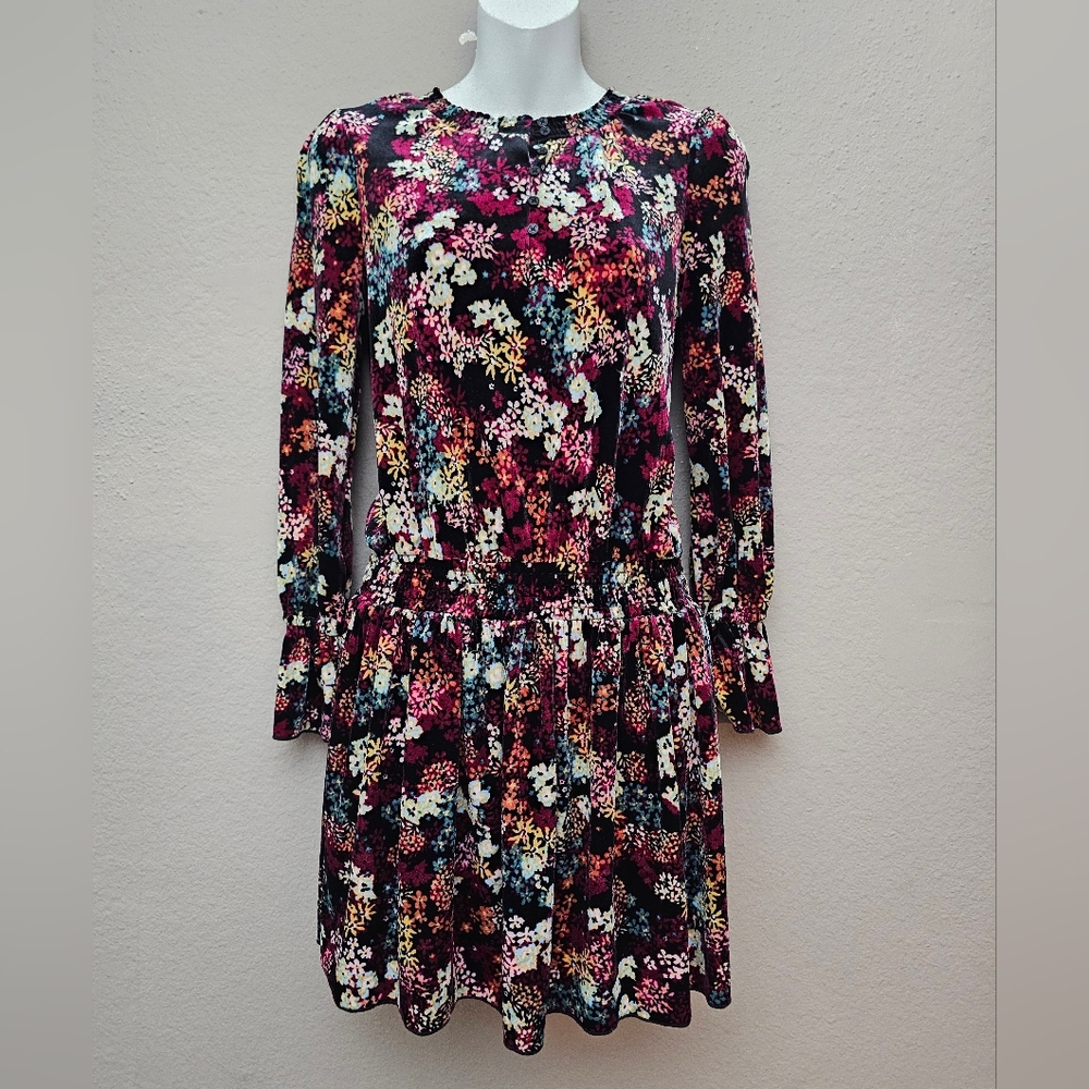 Ella Moss Girls Priscilla Print Velour Velvet Dress Floral Sz 14